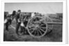 Gunners of field artillery drilling with a 12 pounder by Gregory & Co