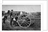 Gunners of field artillery drilling with a 12 pounder by Gregory & Co
