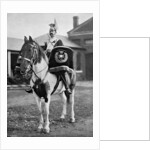 The drum horse of the 17th Lancers by Gregory & Co