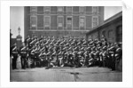 Non-commissioned officers of the 1st Life Guards at Knightsbridge Barracks, London by Gregory & Co