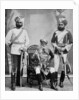 Three of the chief officers of the household troops of the Nizam of Hyderabad, India by Platin Portrait Studios