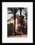 Jezzar Pasha mosque, Acre, Palestine by Donald McLeish