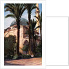 Jezzar Pasha mosque, Acre, Palestine by Donald McLeish