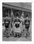 The colours and drums of the 2nd Grenadier Guards by J Thomson