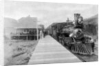 The first regular trans-continental train at Fernie, British Columbia, Canada by Anonymous