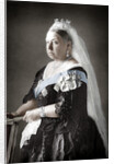 Queen Victoria of the United Kingdom by Anonymous