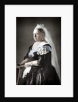 Queen Victoria of the United Kingdom by Anonymous