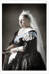 Queen Victoria of the United Kingdom by Anonymous