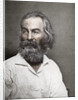 Walt Whitman, American poet by Mathew Brady