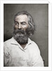 Walt Whitman, American poet by Mathew Brady