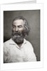 Walt Whitman, American poet by Mathew Brady