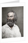 Walt Whitman, American poet by Mathew Brady