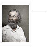 Walt Whitman, American poet by Mathew Brady