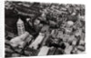 Aerial view of the Church of the Holy Sepulchre, Jerusalem, Palestine, from a Zeppelin by Anonymous