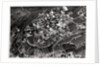 Aerial view of the heights around Jerusalem, Palestine, from a Zeppelin by Anonymous