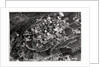 Aerial view of the heights around Jerusalem, Palestine, from a Zeppelin by Anonymous