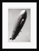 Airship LZ127 'Graf Zeppelin', seen from below by Anonymous