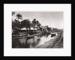 Ashar Creek leading to the Shatt al-Arab, Basra, Iraq by A Kerim