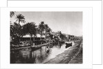 Ashar Creek leading to the Shatt al-Arab, Basra, Iraq by A Kerim