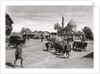 View of a street from the North Gate, Baghdad, Iraq by A Kerim