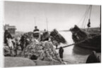 Unloading cargo from a boat, Muhaila, Baghdad, Iraq by A Kerim