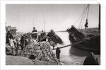 Unloading cargo from a boat, Muhaila, Baghdad, Iraq by A Kerim