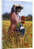 The English Rose by Horace Walter Nicholls