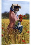 The English Rose by Horace Walter Nicholls