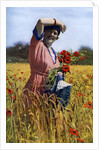 The English Rose by Horace Walter Nicholls