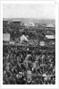 Crowds on Derby Day, Epsom Downs, Surrey by Horace Walter Nicholls