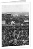 Crowds on Derby Day, Epsom Downs, Surrey by Horace Walter Nicholls