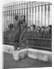 Crowds outside Buckingham Palace waiting for news of the illness of the King by Anonymous