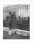 Crowds outside Buckingham Palace waiting for news of the illness of the King by Anonymous