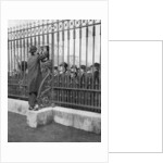 Crowds outside Buckingham Palace waiting for news of the illness of the King by Anonymous