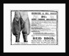 Advert for Reid Bros, Sporting Tailors & Breeches Makers by Anonymous
