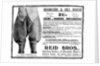 Advert for Reid Bros, Sporting Tailors & Breeches Makers by Anonymous