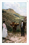 Mule with water kegs, Sicily, Italy by AW Cutler