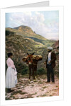 Mule with water kegs, Sicily, Italy by AW Cutler