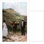 Mule with water kegs, Sicily, Italy by AW Cutler
