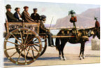 Cart, Palermo, Sicily by Anonymous