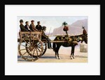 Cart, Palermo, Sicily by Anonymous