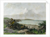 Nadowaoua by R Hinshelwood