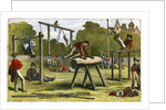 Gymnastics by Anonymous