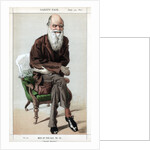 Natural Selection by Coide