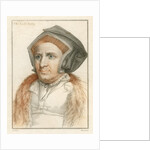 The Lady Buls by Freeman