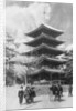 Pagoda, Nara, Japan by Anonymous