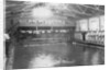 The swimming bath, Royal Navy training establishment, Shotley, Suffolk by Anonymous