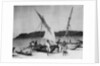 Fishing boats, Trincomalee, Ceylon by Anonymous