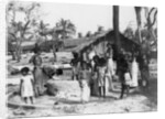 Village scene, Trincomalee, Ceylon by Anonymous