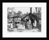 Village scene, Trincomalee, Ceylon by Anonymous